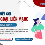 goi noi mang ngoai mang lien mang