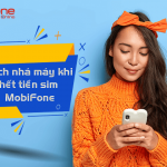 nha-may-MobiFone