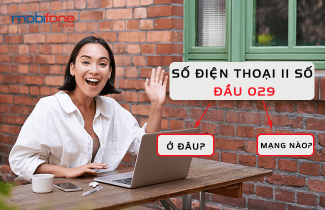 so dien thoai 11 so dau 029 so dien thoai 11 so dau 029