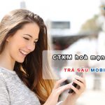 chuong trinh khuyen mai hoa mang moi tra sau mobifone