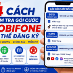 kiem tra goi cuoc mobifone co the dang ky