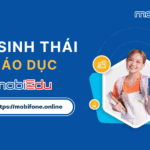 dich vu mobiedu