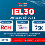 goi cuoc iel30 mobifone