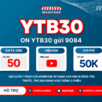 goi ytb30 mobifone