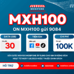 goi cuoc mxh100 mobifone